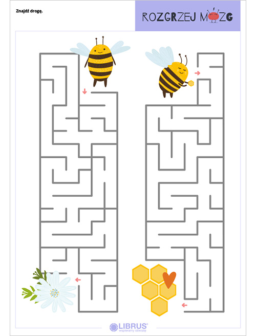 a_rozgrzej_mozg_na_dzien_pszczol_LR_graf2.jpg